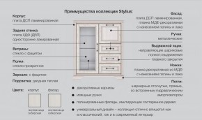 Прихожая модульная Стилиус в Сухом Логу - suhoj-log.magazinmebel.ru | фото - изображение 2