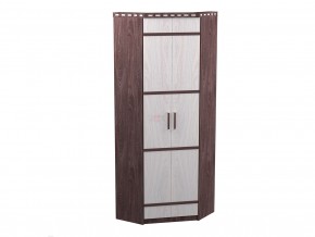 шкаф 2-х дверный угловой в Сухом Логу - suhoj-log.magazinmebel.ru | фото