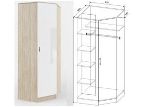 СШУ860.1 Шкаф угловой в Сухом Логу - suhoj-log.magazinmebel.ru | фото